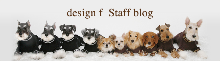 Staff blog